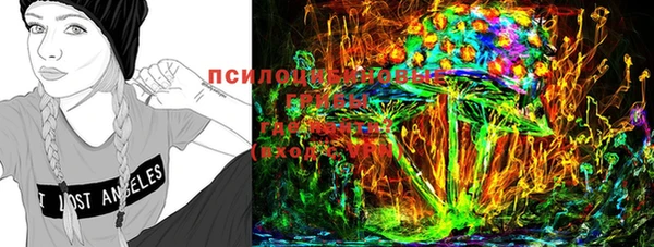 экстази Белокуриха