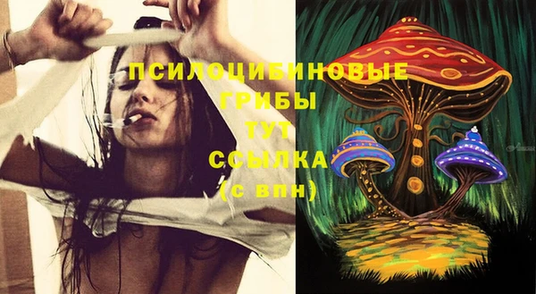 экстази Белокуриха